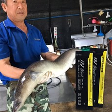 강복자 남성 스테미너 기력회복 초대형 민물장어 장어즙 장어진액 블랙숙성장어즙