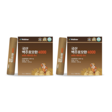 웰스터 국산 맥주효모환 4000 4.2g x 30포 x 2박스, 126g, 2개