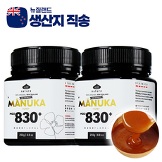 와일드네이처 100% 뉴질랜드 마누카꿀 MGO830+ UMF20+ 동일수치, 2개, 250g