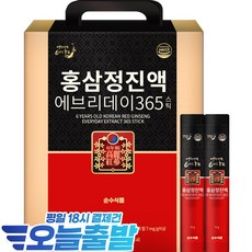 순수식품 홍삼정진액 에브리데이 365 스틱, 10g, 100개