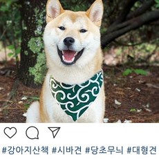 크레이티브사운드카드