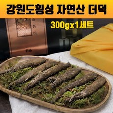 국내산 생더덕 강원도 횡성 더덕 선물세트 고급선물 포장 추천 겨울 야생더덕 100% 산지직송 기력회복 효능 더덕주 더덕무침 더덕구이 온가족 부모님 새해인사 명절 선물, 1개, 300g