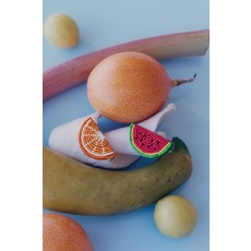 자라키즈썬글라스