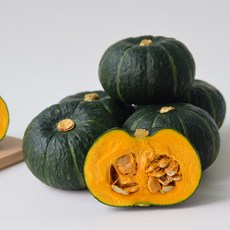 제주햇살바람밤단호박