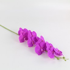 f98d9ac8b1dd8fef24ad3b4128a53e49ec7db58ab9351634c612fe719ed4.jpg