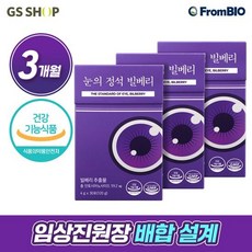 프롬바이오 눈의정석 빌베리 3개월분(30포x3박스 총 90포), 3개, 단품