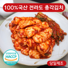 [금화찬방] 당일제조 100% 국산 전라도 총각김치, 1개, 1kg