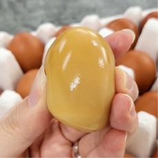 숙성달걀보온