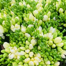1523855b739d556667500b43dd1855008e3fb6ac9e31d81e5f1a5748e65f.jpg