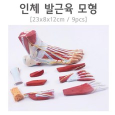 0a1ce4af4b7ac1d6d3beb6043d0a9146c971d830919ca9ac118ea2ca7f57.jpg
