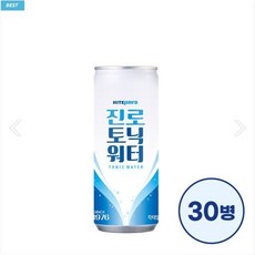 하이트진로 하이트진로음료 토닉워터, 250ml, 21개 - 일품진로100주년