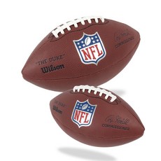 윌슨 NFL 럭비공 1825 풋볼공 색상랜덤(은장 금장) 미식축구공, 색상랜덤(제작 시기)