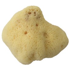 천연해면실크