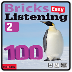 브릭스리스닝100