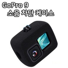 고프로9마이크