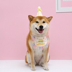 오자드 강아지 고양이 생일파티 용품 모자 스카프 턱받이 세트, 노랑