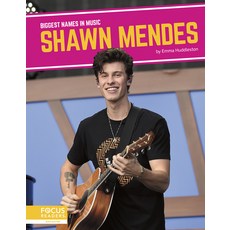 Shawn Mendes Paperback, Focus Readers