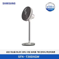 삼성전자 선풍기/30cm(12인치)/7엽날개/12단풍속/BLDC모터/무선리모컨, 1개