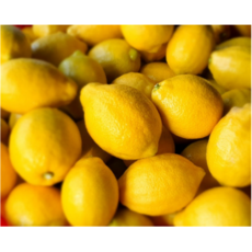 무농약 국산 레몬 5kg 10kg(11월 15일부터 수확후 발송예정) [원산지:국산(충청남도 아산시)]