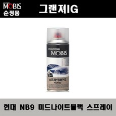 순정품 현대 그랜져IG NB9 미드나이트블랙 스프레이 자동차 차량용 도색 카페인트, NB9 미드나이트블랙 스프레이(모비스), 1개