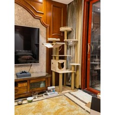 펫올원목대형캣타워