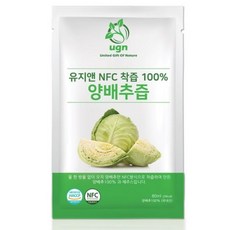 대동즙지도