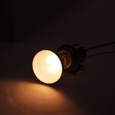 식물온열등 베란다 월동 램프 미니온실 용 보온 보온재 따뜻한 히팅램프 보온등, 100w, 1개