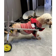 애완견 강아지 뒷다리 재활 보행기 노견 휠체어 중소형견, XS 4-7kg, 1개