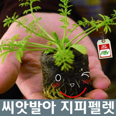e6fa626fc07ce3fa7ac0f899ebfbe2002f2d3ffc3f6c0088de7ee688031e.png