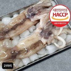 자연산 손질 통오징어 260g(3마리)X7팩/총 21마리, 7개