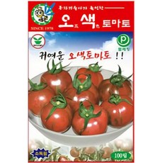 오색토마토