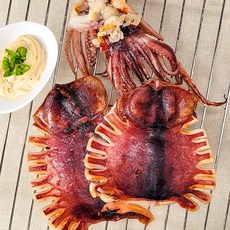 강영수산 반건조오징어 (특대왕)10미(2.3kg내외), 단품