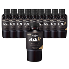 로라메르시에사이즈업25주년