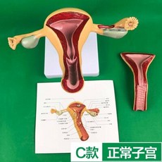 보건인을위한병리학