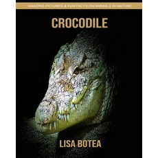 (영문도서) Crocodile: Amazing Pictures & Fun Facts on Animals in Nature Paperback, Independently Published, English, 9781696345354