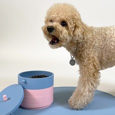 아베크파인다이닝