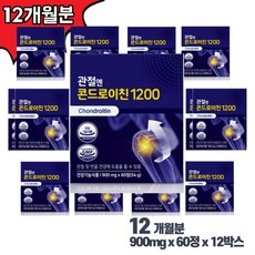 관절엔 콘드로이친 1200 900mgx60정 12박스 12개월분, 상세페이지 참조, 상세페이지 참조