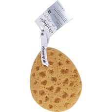 Cleanlogic 폼 씨 스폰지 샤워타월, 1개