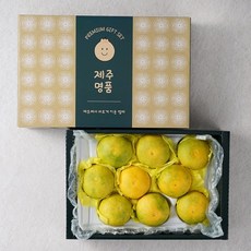 황금향 하우스감귤 추석 설날 명절 상견례 선물세트, 황금향 2KG 중대과