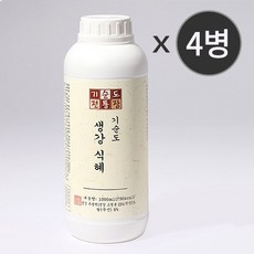 기순도생강식혜