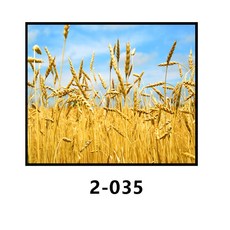 38c116b2e1cd094df0b8a4e7e8bd0847fad49a92d4aaa06895581ee4a0c6.jpg