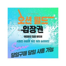 오션월드 입장권 구명조끼 종일권 락커 사용가능 홍천 비발디파크 워터파크, 주중입장권 (월~금) 구명조끼X 문자발송