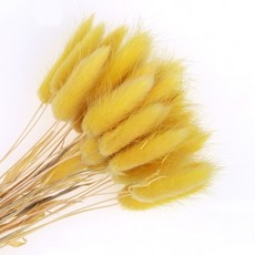 버니테일메르시가디건