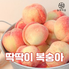 [농부마음] 산지직송 햇 복숭아, 1개, 4kg(특대과)