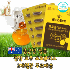 면역력에좋은영양제