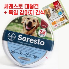 세레스토 대형견 강아지 진드기목걸이 정품 + 강아지 간식 / 최신제조일 / 프랑스 내수용