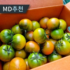 농협인증 대저 짭짤이 토마토 2.5kg 특품, 1박스, 대저 짭짤이 토마토 2.5kg L