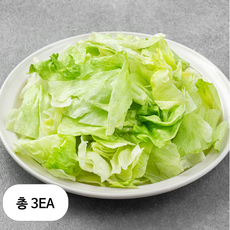 롯데푸드 양상추 슬라이스, 3개, 800g