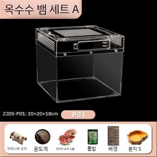 곤충 키우기 사육통 투명 케이지 달팽이집 도마뱀집 사슴벌레 장수풍뎅이 곤충하우스 뱀, 옥수수 뱀 01 실린더 한 애벌레를위한 기본 패키지