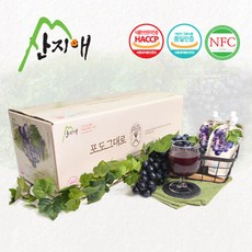 산지애 포도원액주스 50팩 포도즙 100% 착즙 NFC, 단일상품_수량_상세페이지참조, 120ml